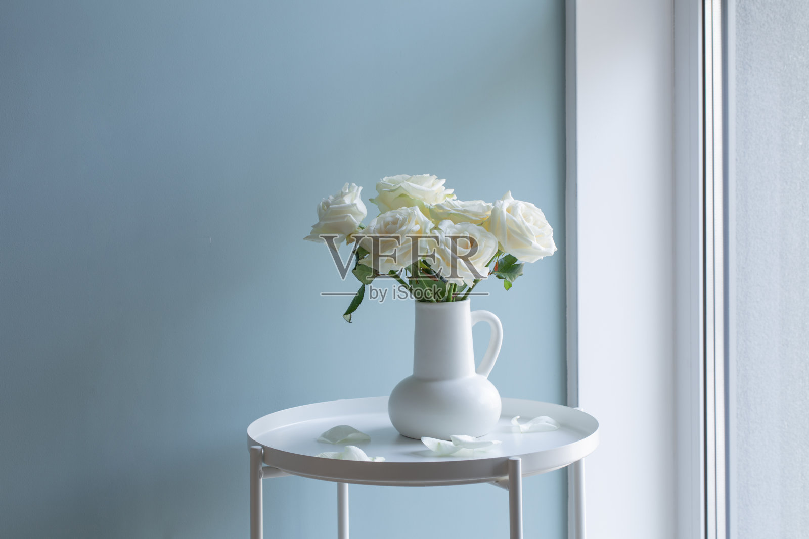 现代室内白色水罐中的白玫瑰花束照片摄影图片