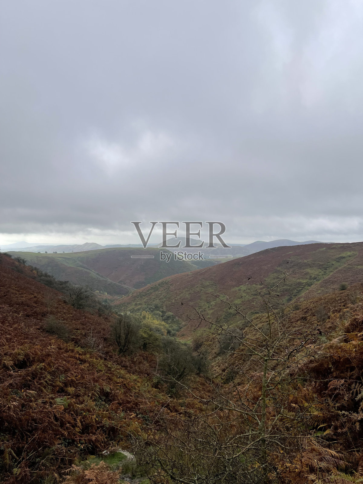 萨罗普羊山照片摄影图片