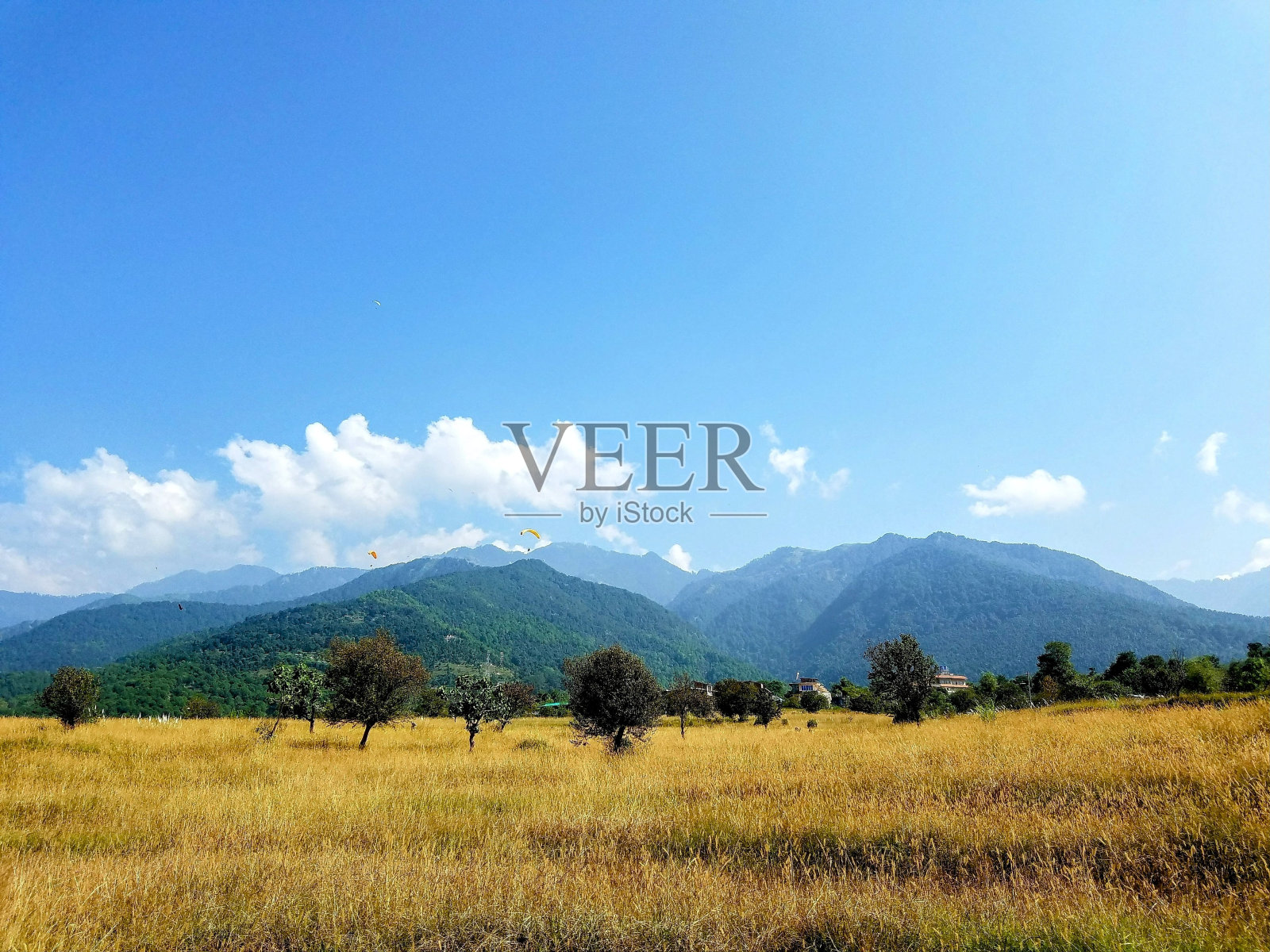 喜玛拉雅山麓照片摄影图片