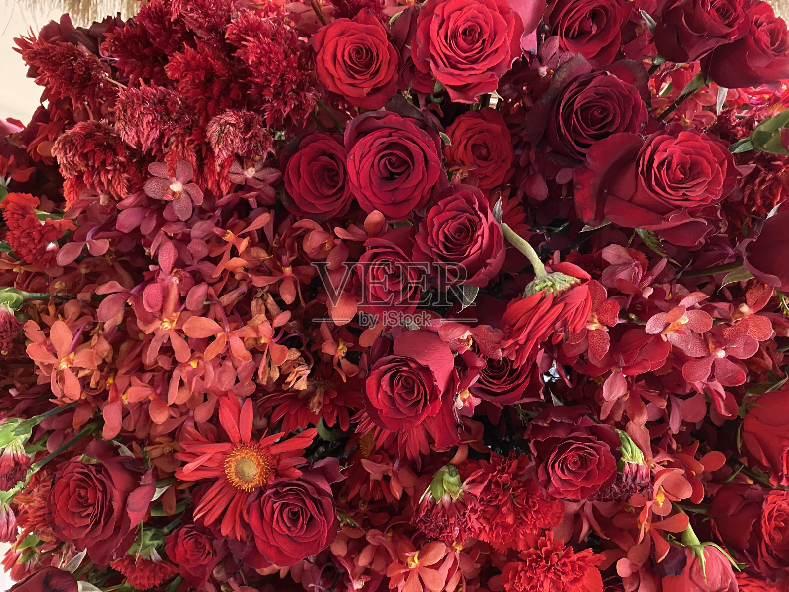 正式的节日装饰照片摄影图片