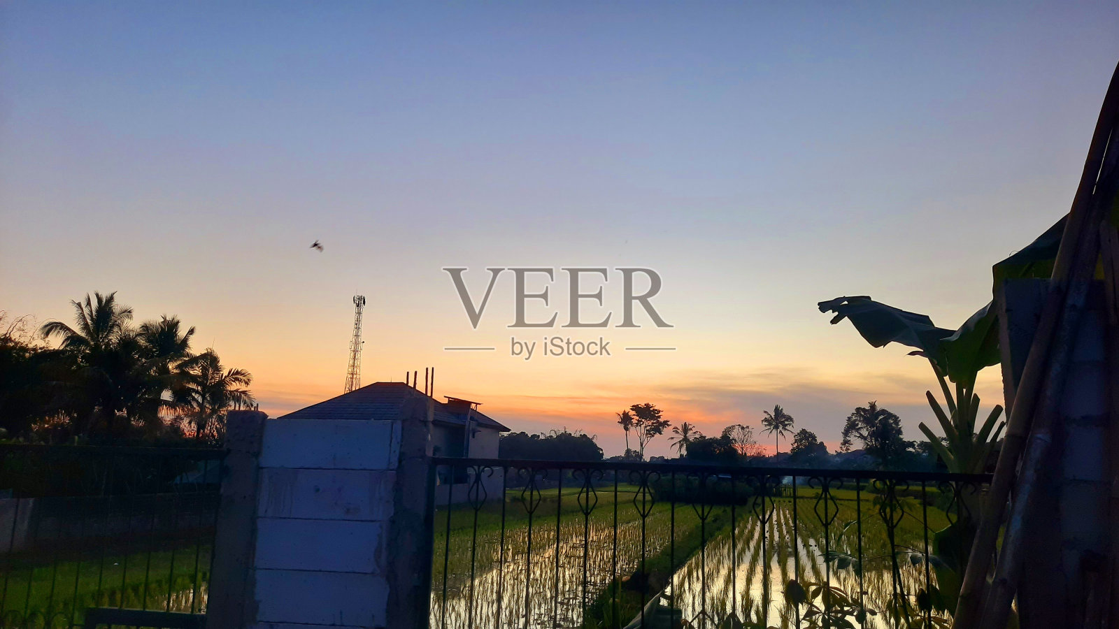 dj酒吧的日落照片摄影图片