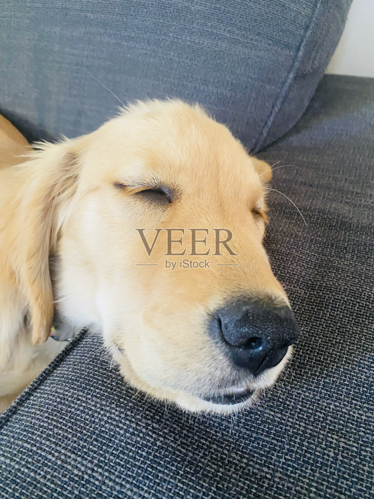 午睡时间照片摄影图片