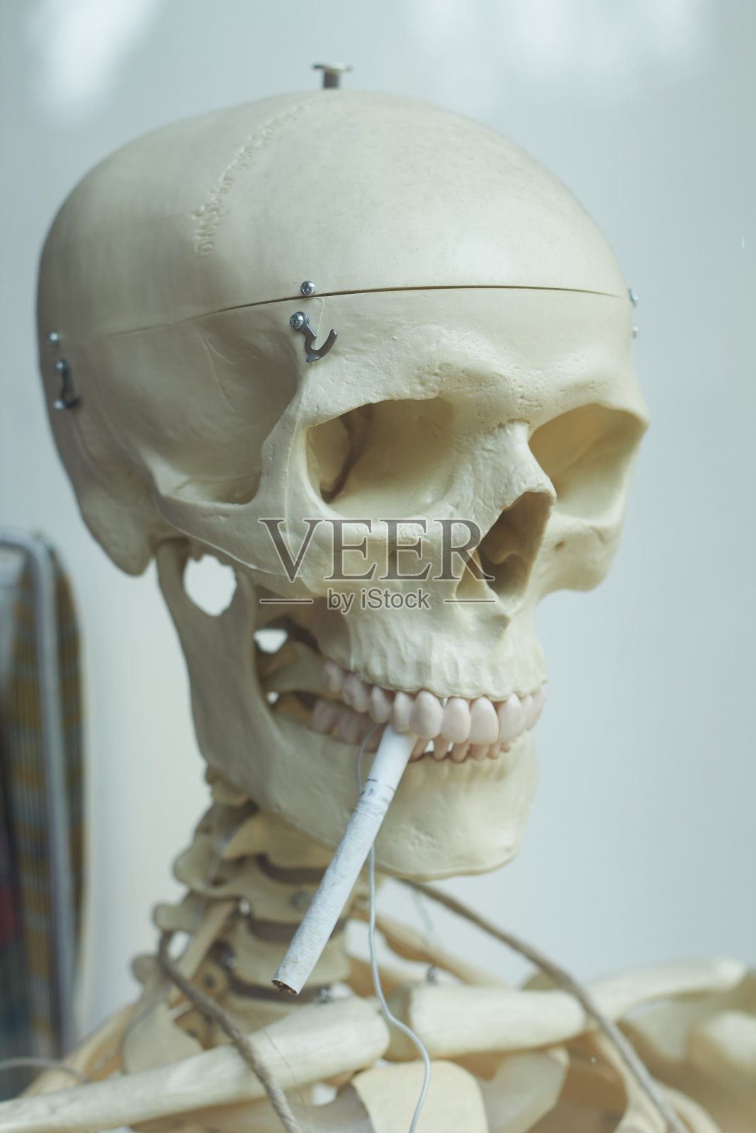 嘴里叼着烟的滑稽骷髅照片摄影图片