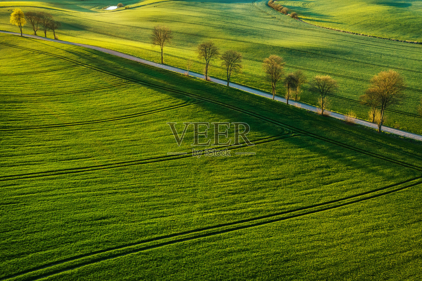 春天波兰北部绿色田野的空中景观。照片摄影图片