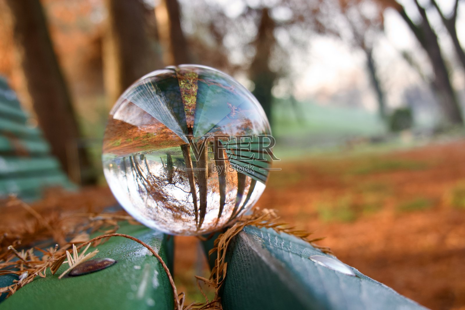 秋天，水晶球放在木凳上照片摄影图片
