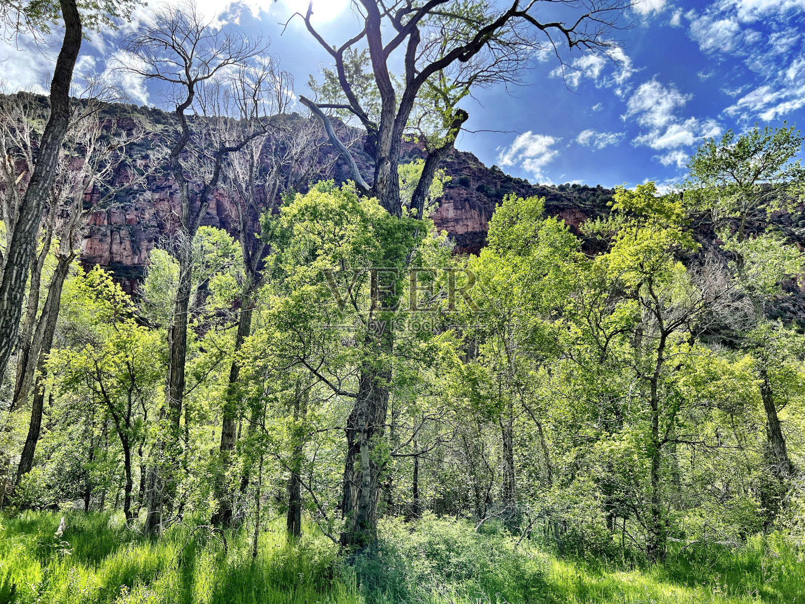 犹他州美丽的蓝天照片摄影图片