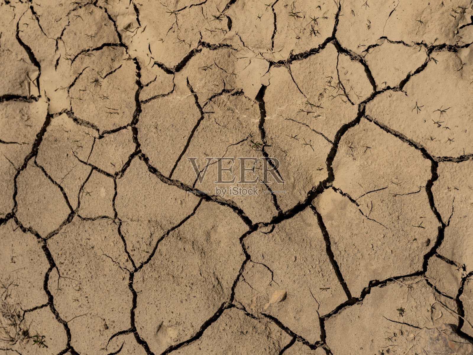 了粘土照片摄影图片