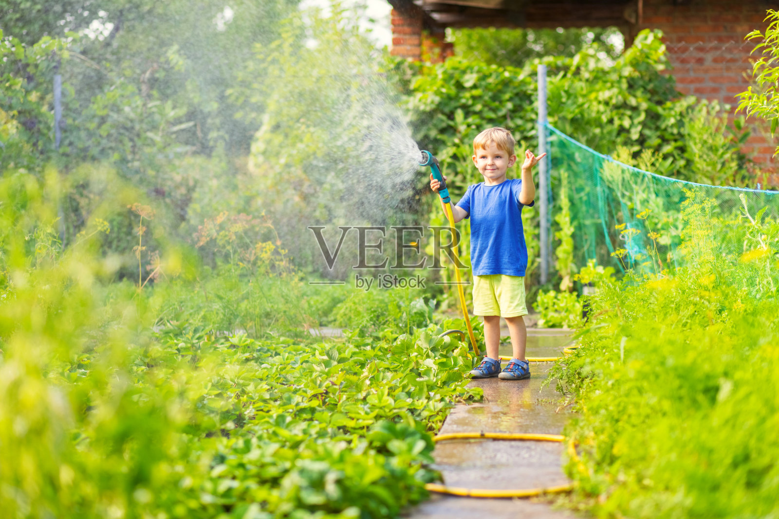 孩子在花园里给花草浇水。小男孩园艺照片摄影图片