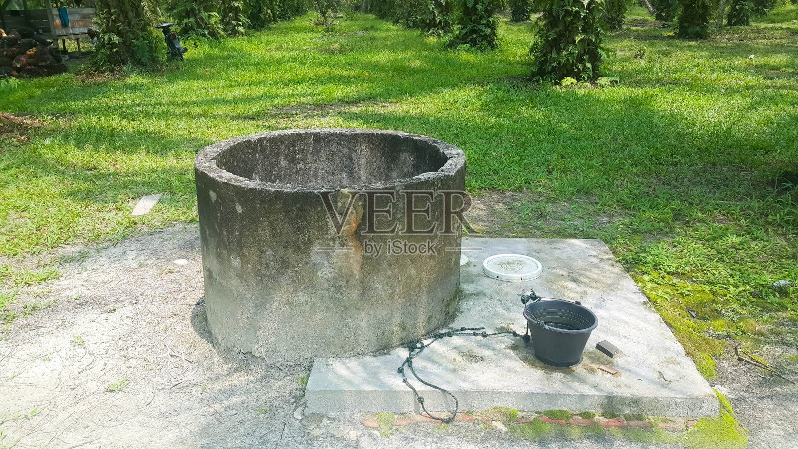 在棕榈油种植园里，一口带有旧水桶的水井。照片摄影图片