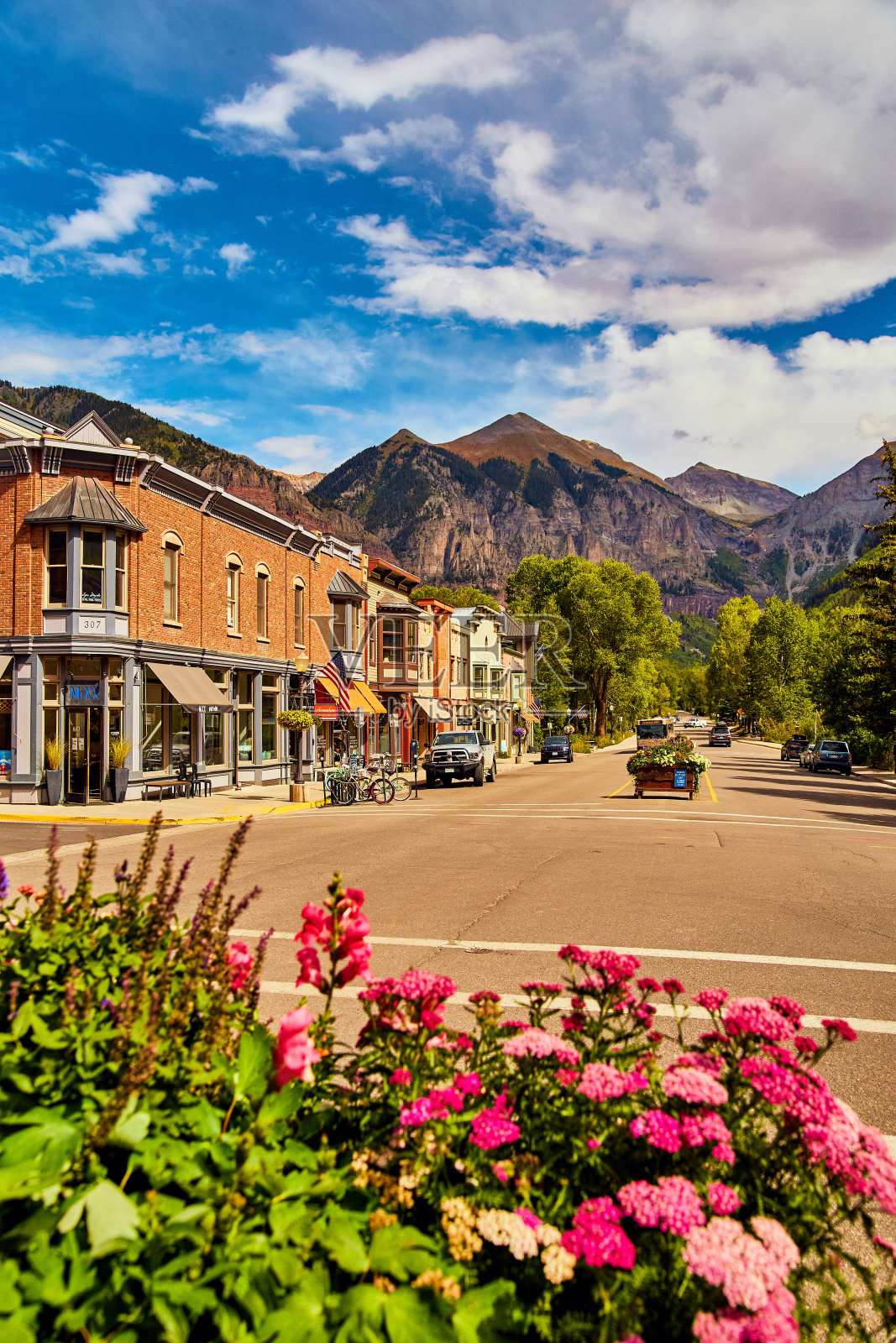 群山中的小镇，前景有花照片摄影图片