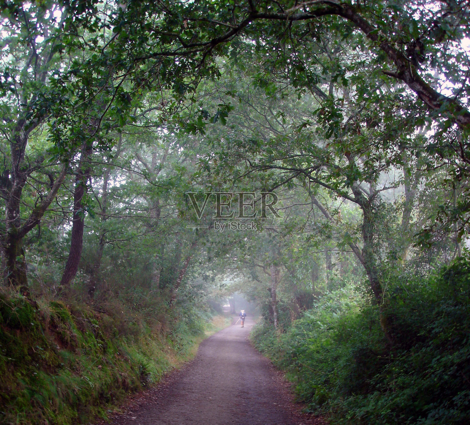 “圣地亚哥之路”朝圣路线，西班牙加利西亚。照片摄影图片