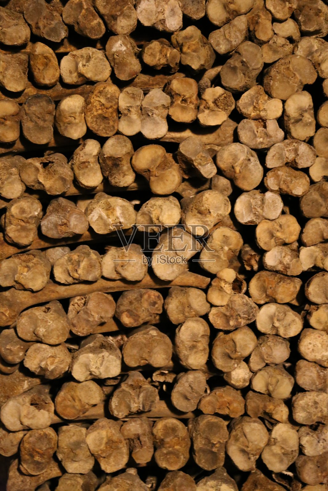 小腿照片摄影图片