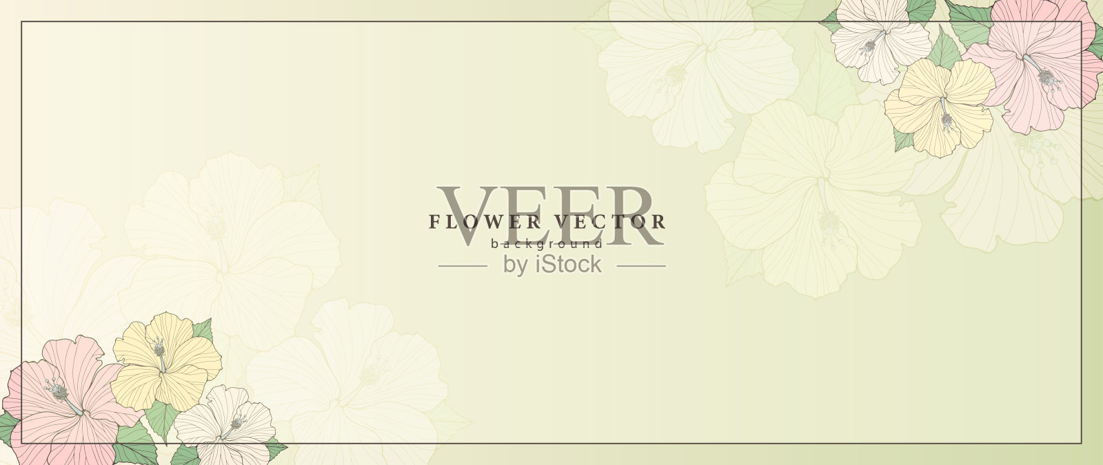 精致的淡绿色框架文字或照片与五颜六色的花朵。花卉背景明信片，名片，文凭，邀请插画图片素材