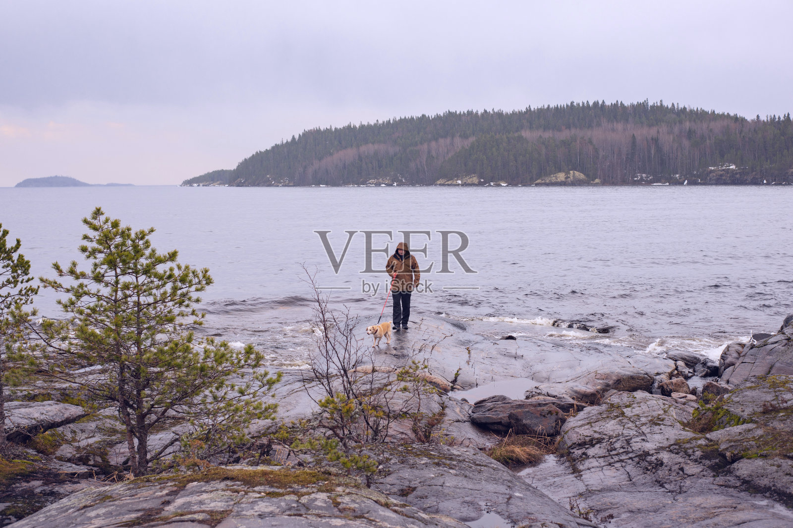 雨中，一个穿着连帽夹克的男人在多岩石的湖岸上遛狗照片摄影图片