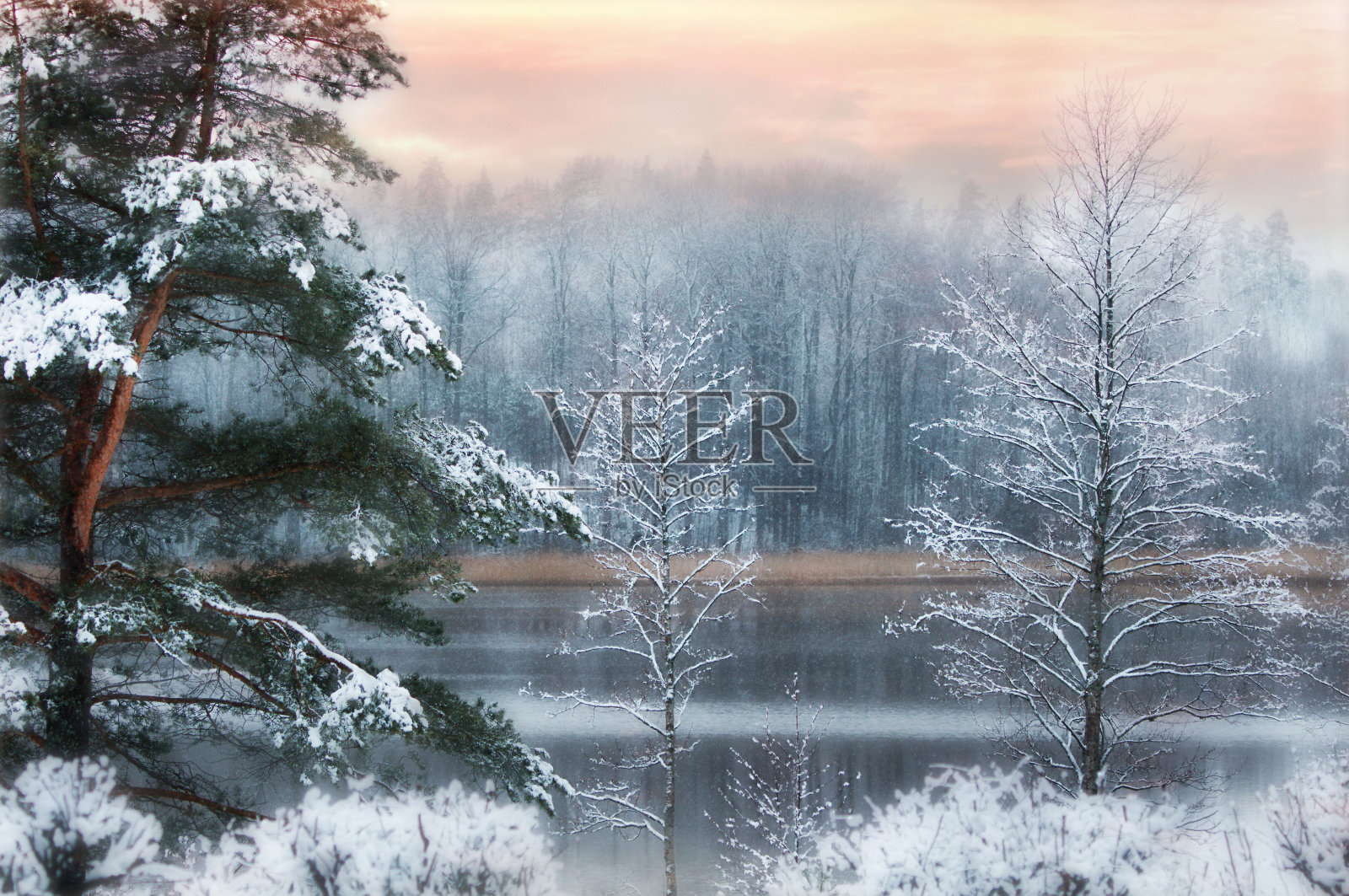 第一场雪覆盖了湖边的树木照片摄影图片