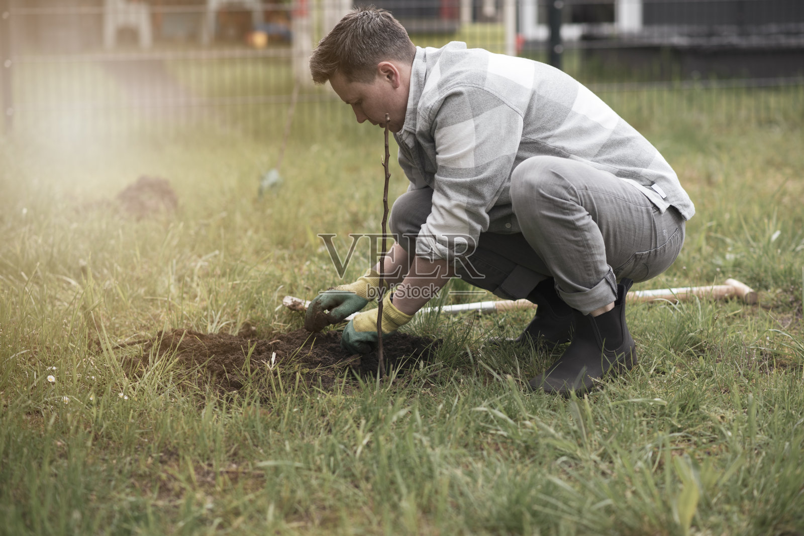 一个人在花园里种树。生态系统概念照片摄影图片