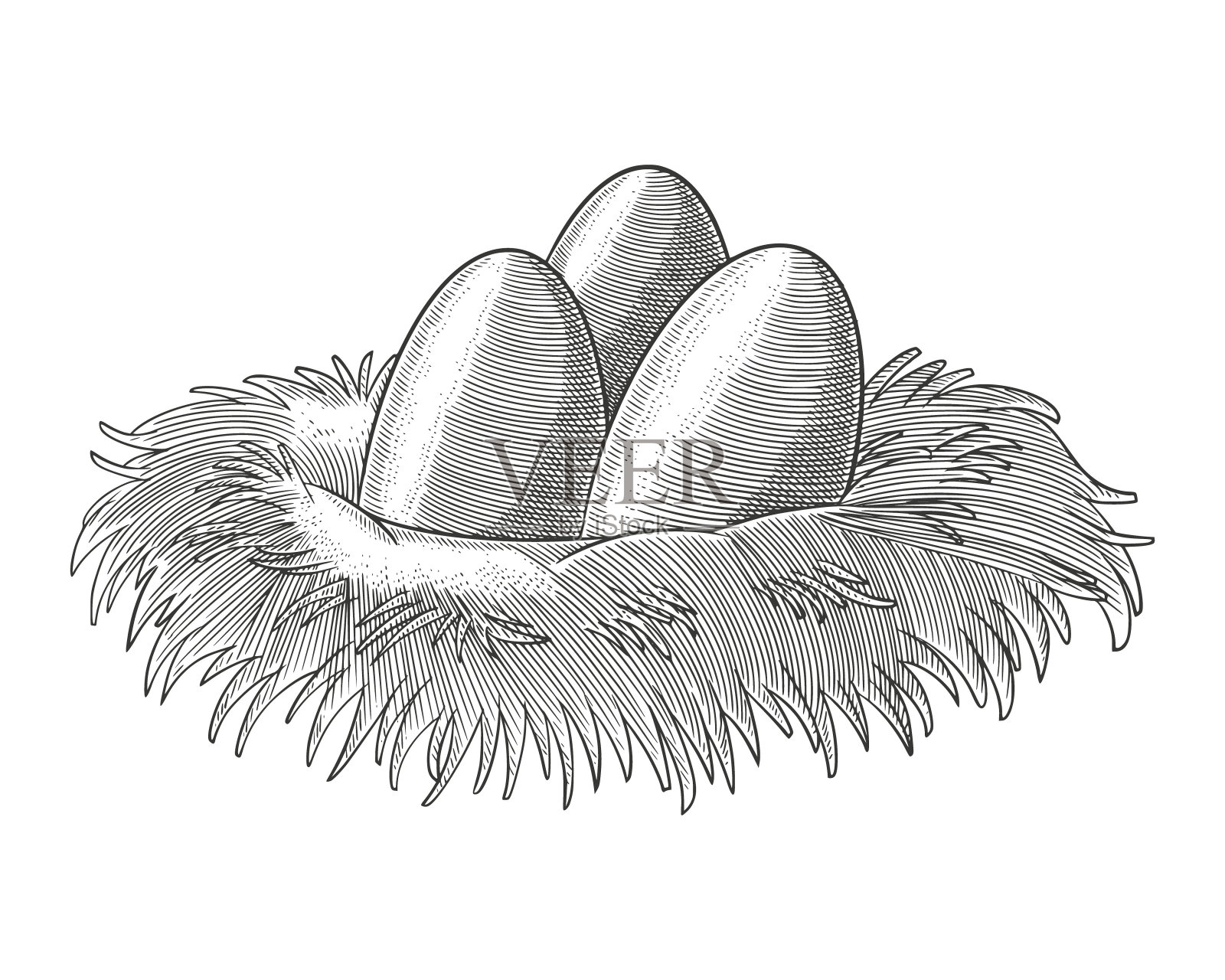 鸡窝里有三枚鸡蛋农场家养家禽手绘雕刻复古风格矢量插图