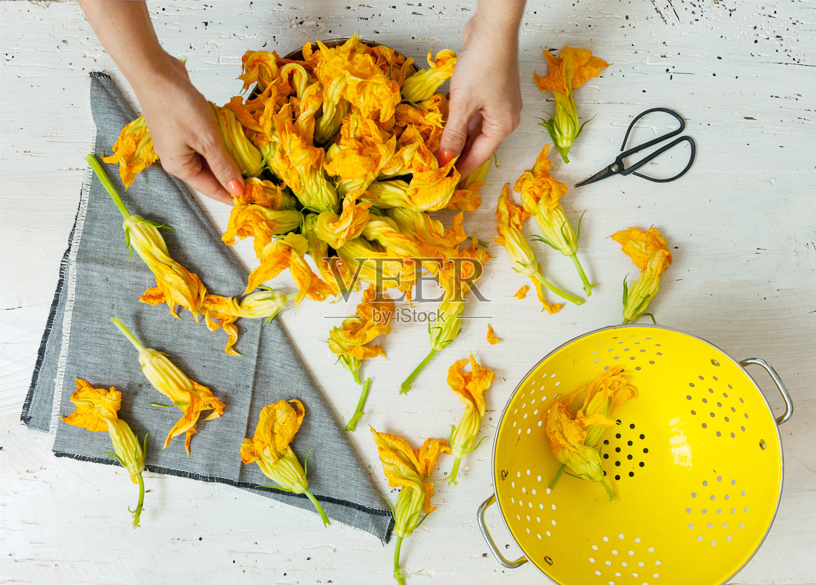 俯视图妇女的手准备新鲜采摘的可食用的西葫芦花烹饪照片摄影图片