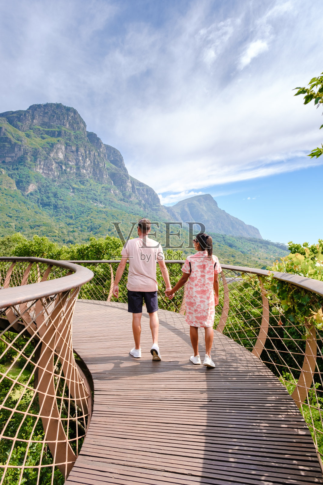 南非开普敦的树冠桥，Kirstenbosch植物园的树树走道照片摄影图片