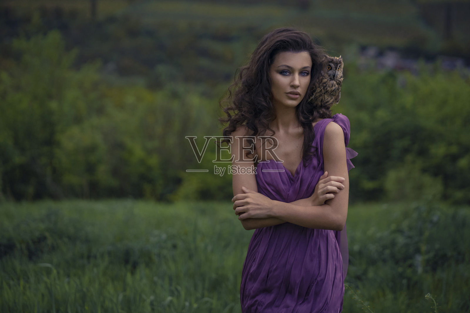 美丽的女人与猫头鹰在紫色的礼服在大自然照片摄影图片
