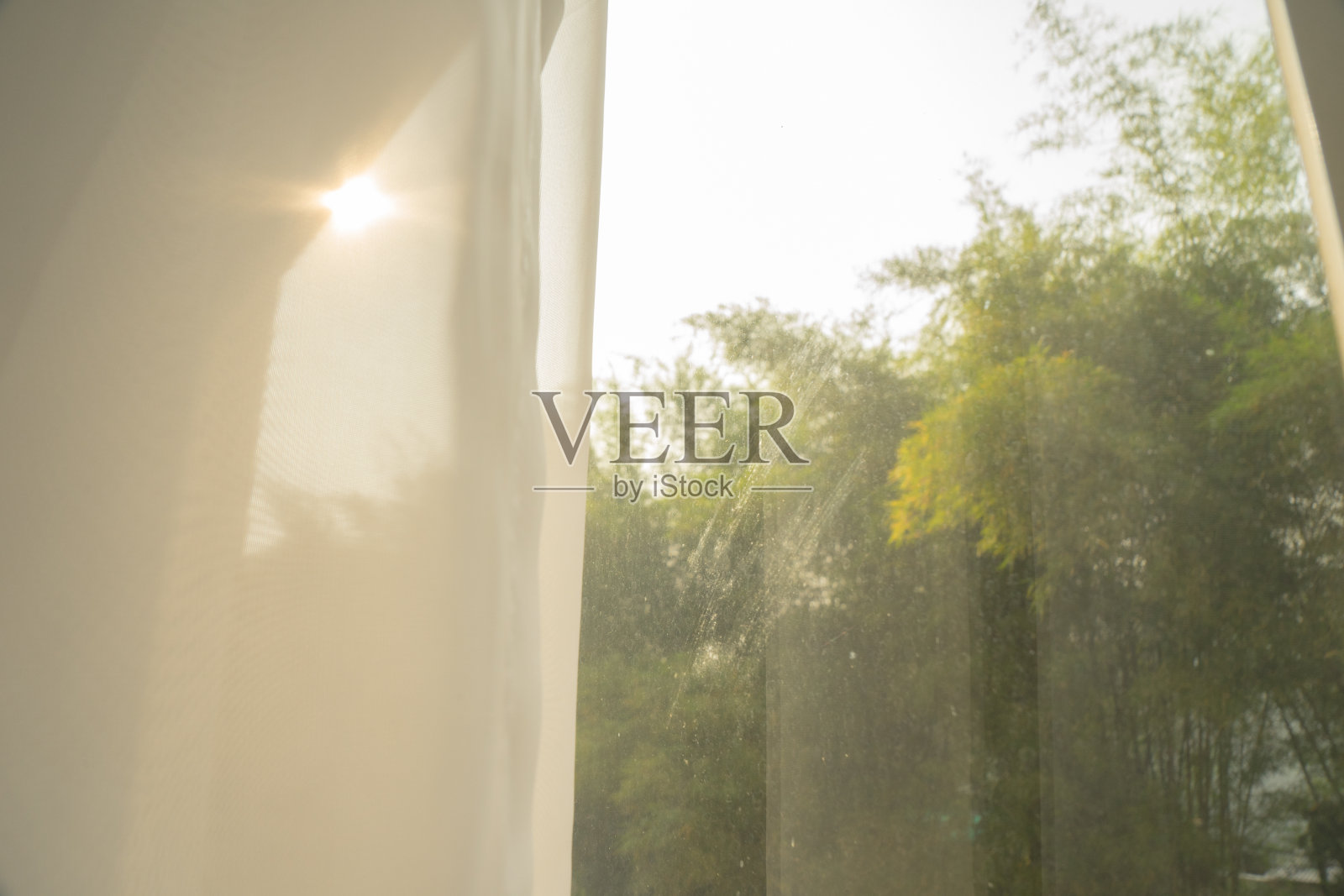 房间外的竹树半开着白色窗帘照片摄影图片