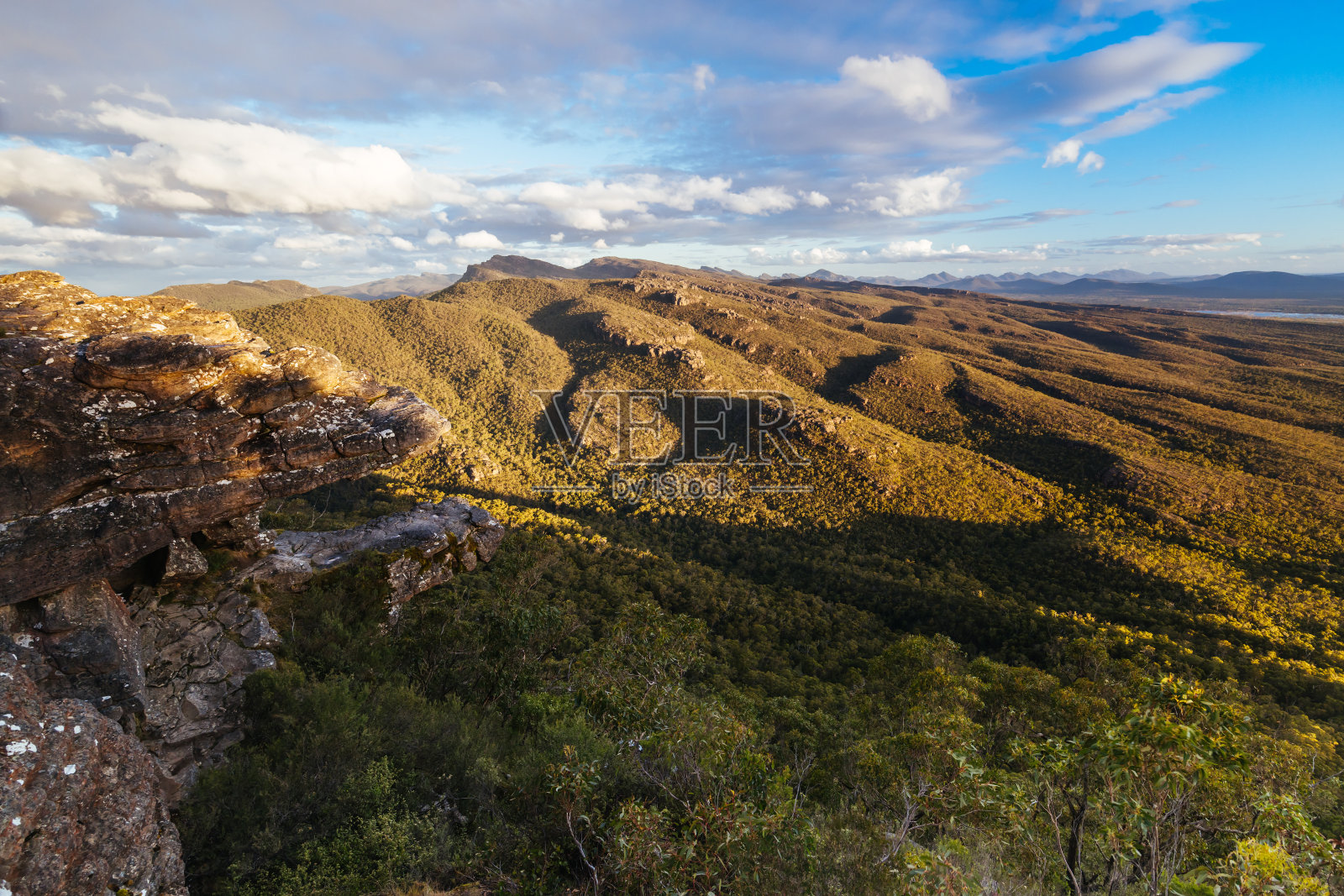 澳大利亚格兰屏的芦苇瞭望台照片摄影图片