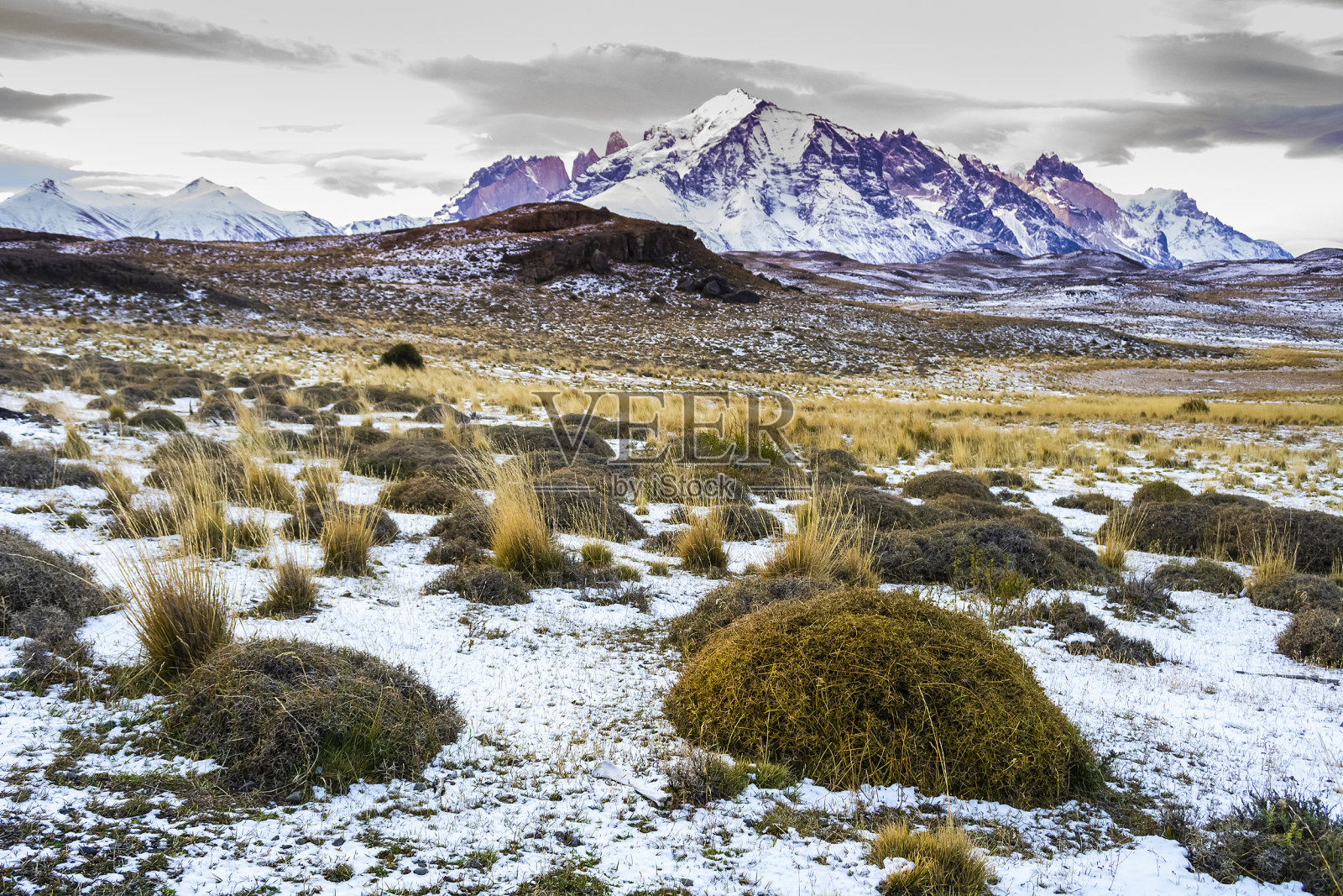 智利巴塔哥尼亚托雷斯德尔潘恩国家公园的山地景观环境。照片摄影图片