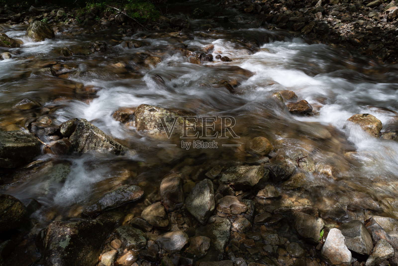 流经森林的河流照片摄影图片