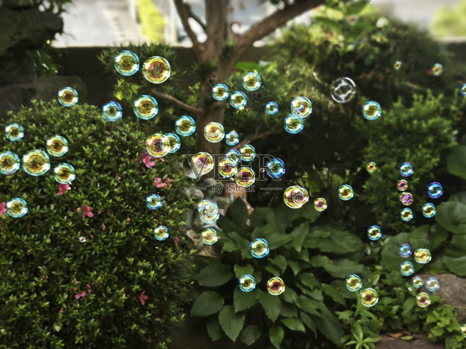 漂浮在空气中的气泡照片摄影图片