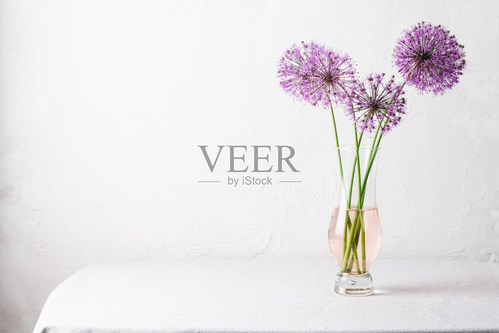 花瓶里的葱花。场景模型，复制空间。照片摄影图片