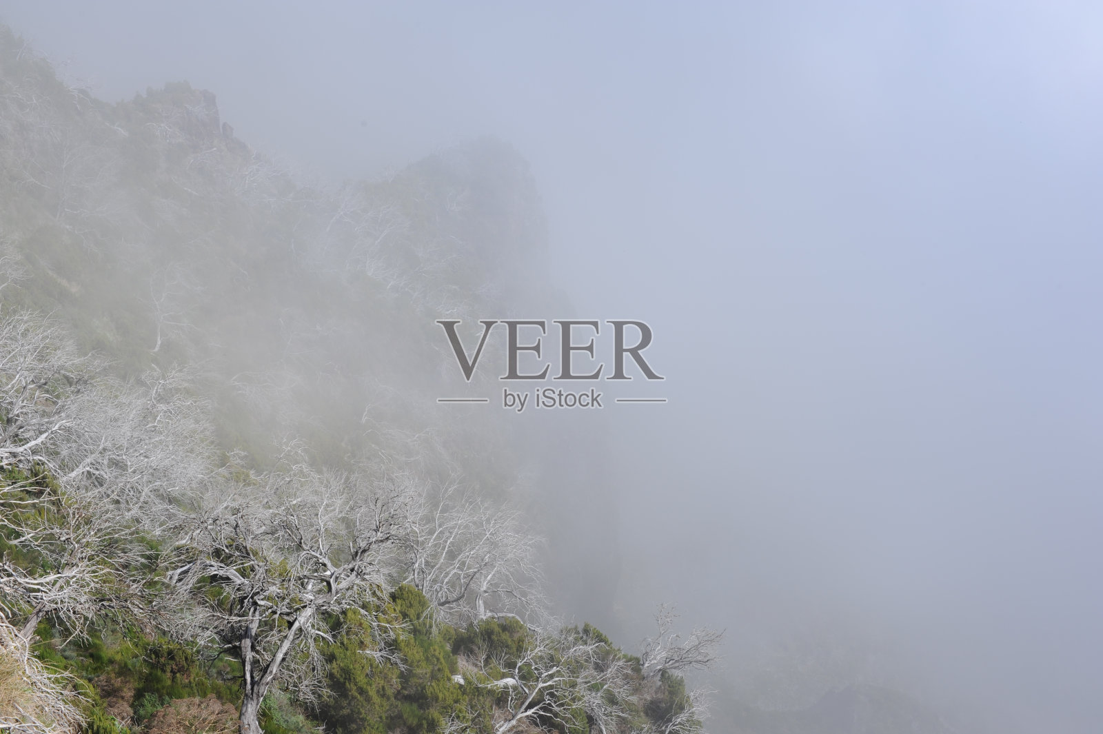 Cloudscape。葡萄牙马德拉岛的山脉和山峰被云、雾和薄雾覆盖照片摄影图片