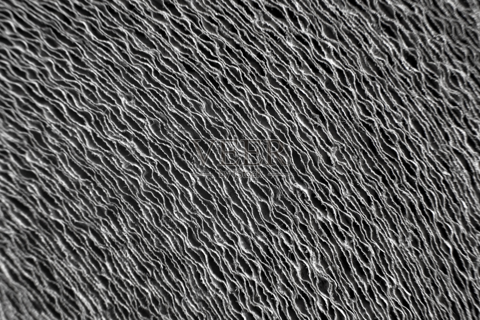 纸卷横截面的黑白抽象背景照片摄影图片