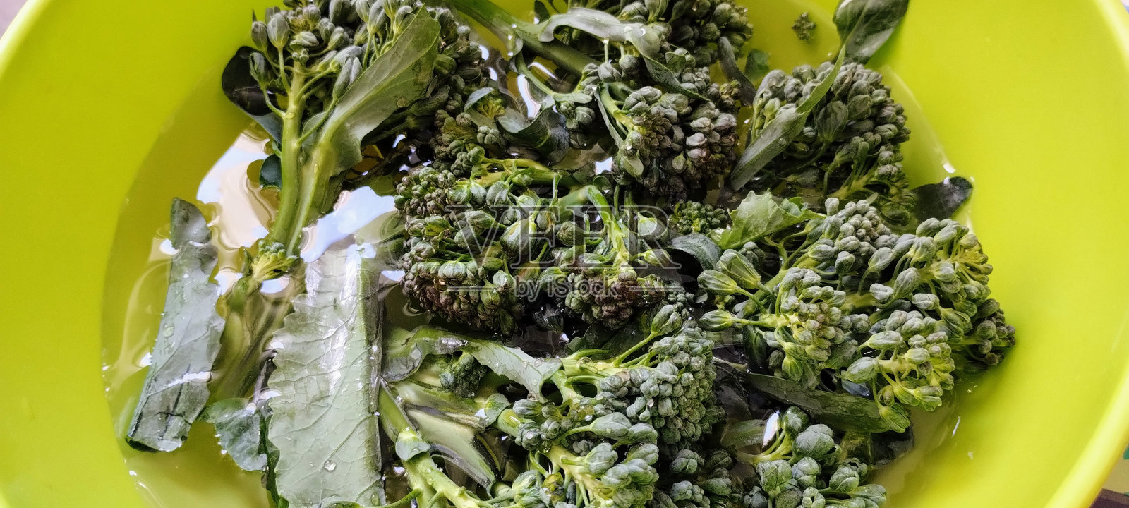 椰菜照片摄影图片