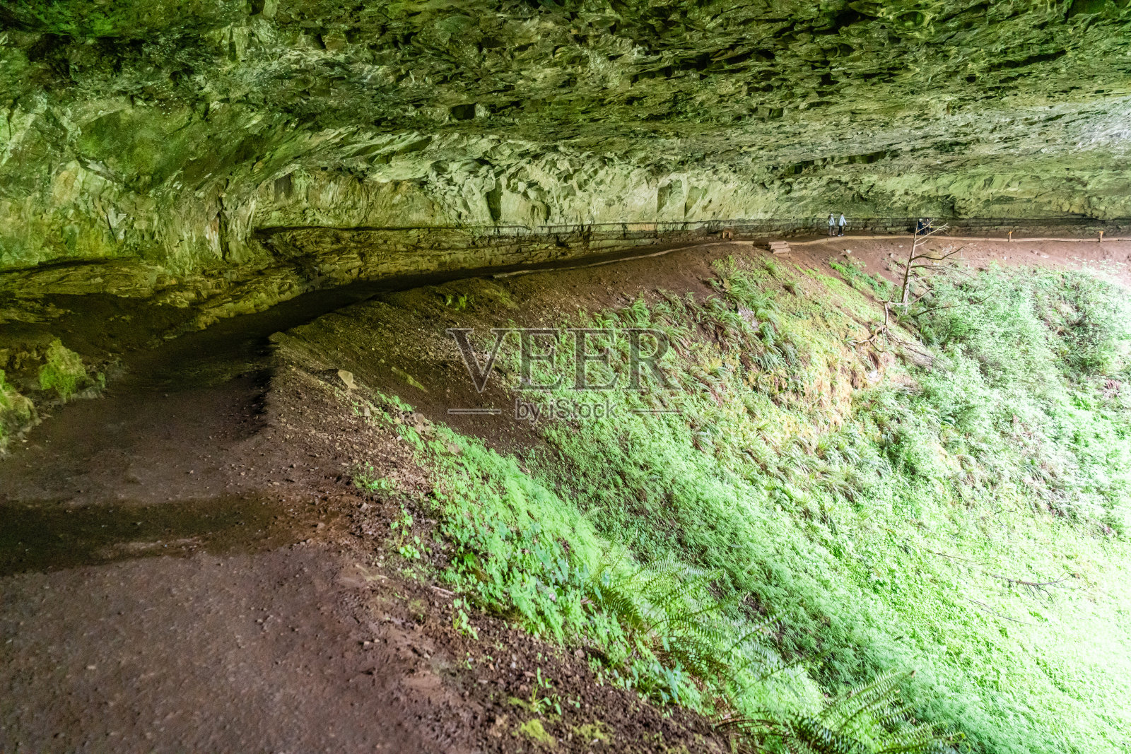 下北瀑布悬垂照片摄影图片