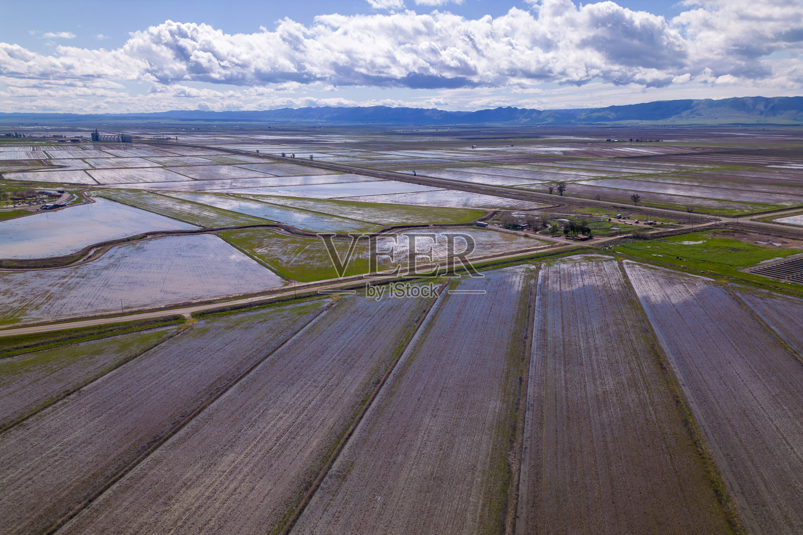 稻田和农业工厂。种植和粮食生产照片摄影图片
