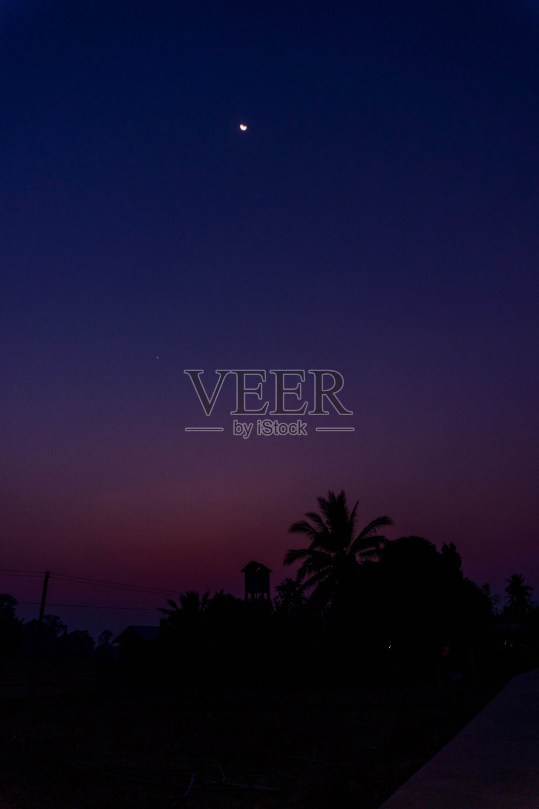 美丽的夕阳天空，从蓝色到粉红色的阴影，棕榈树和月亮出现在老挝4000个岛屿的Don Det照片摄影图片