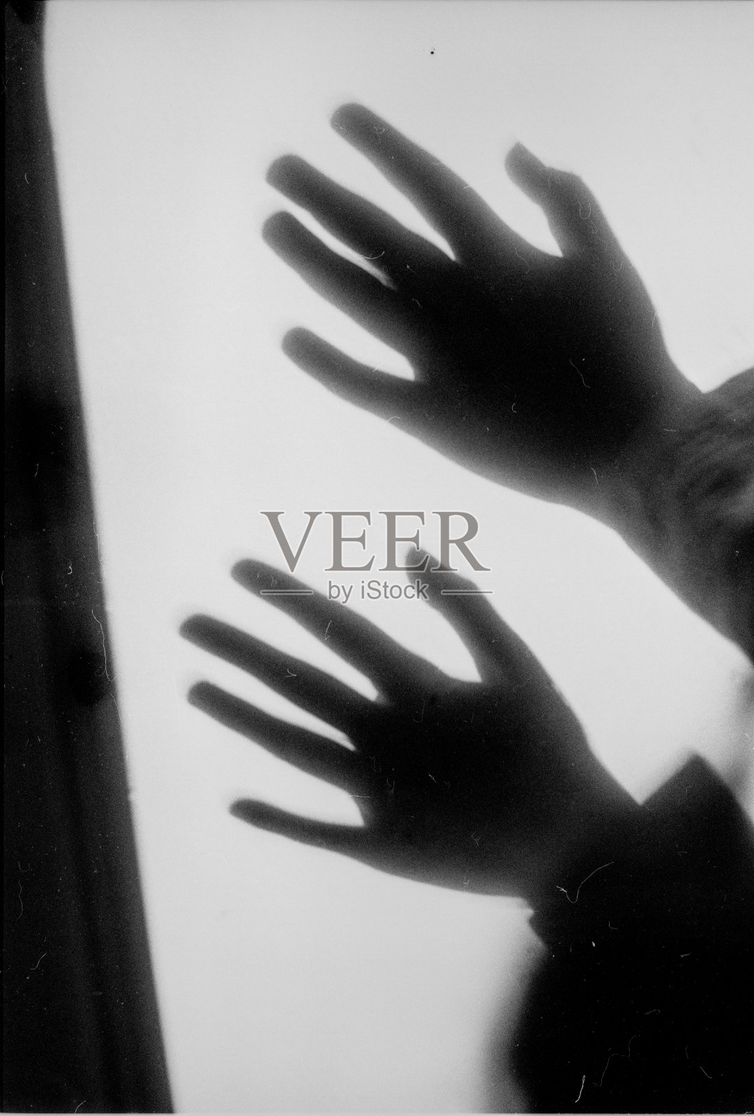 手照片摄影图片