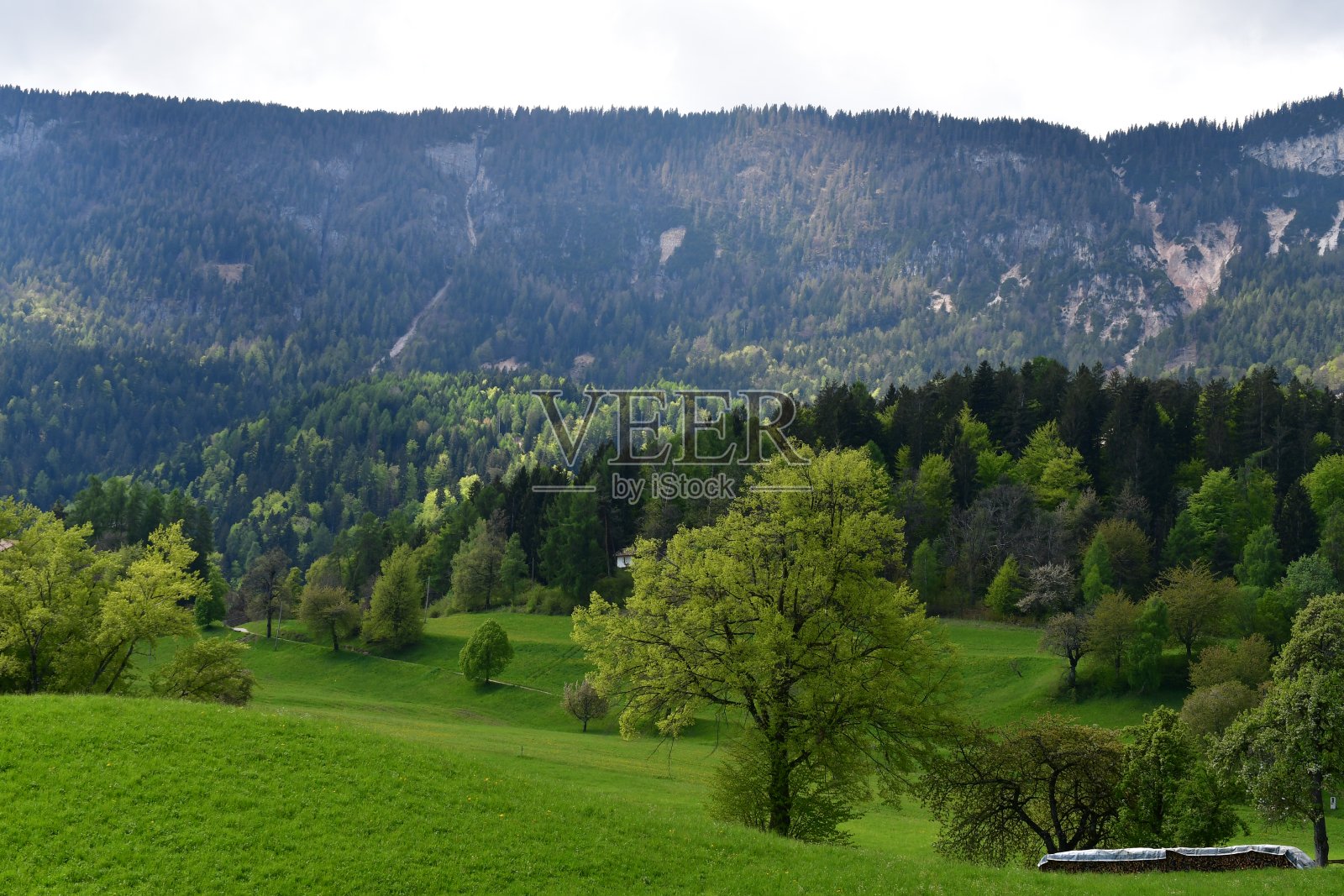 南蒂罗尔的格里森村附近的美丽风景照片摄影图片