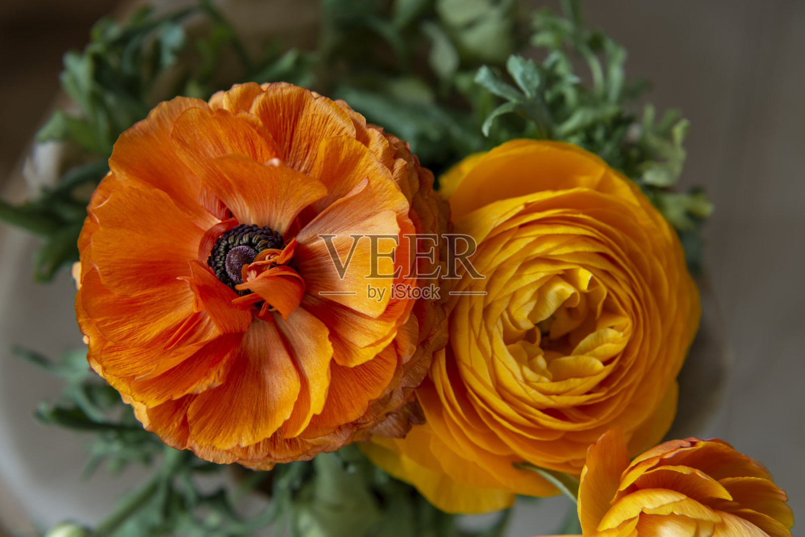 橙色，黄色，红色照片摄影图片