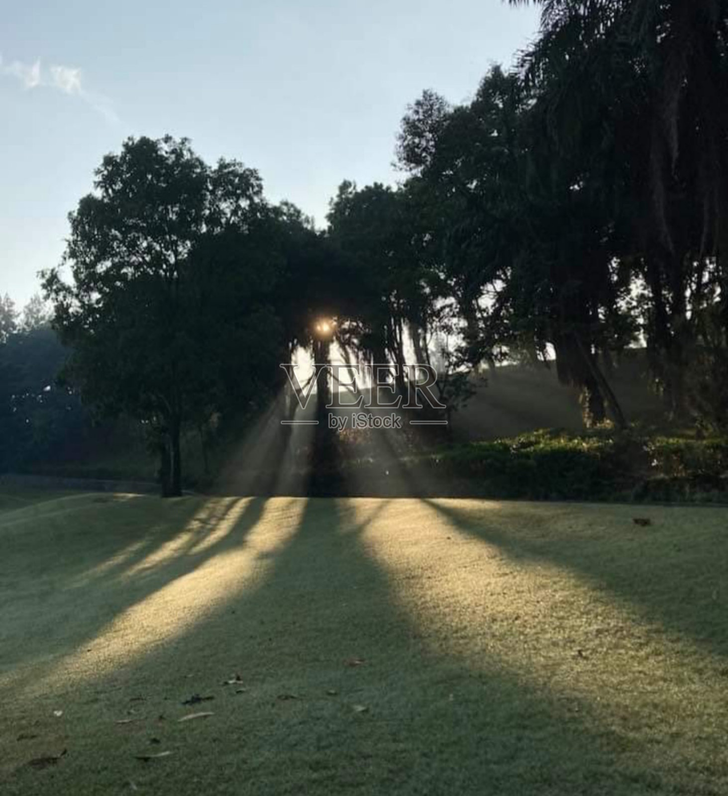 花园里的日出照片摄影图片