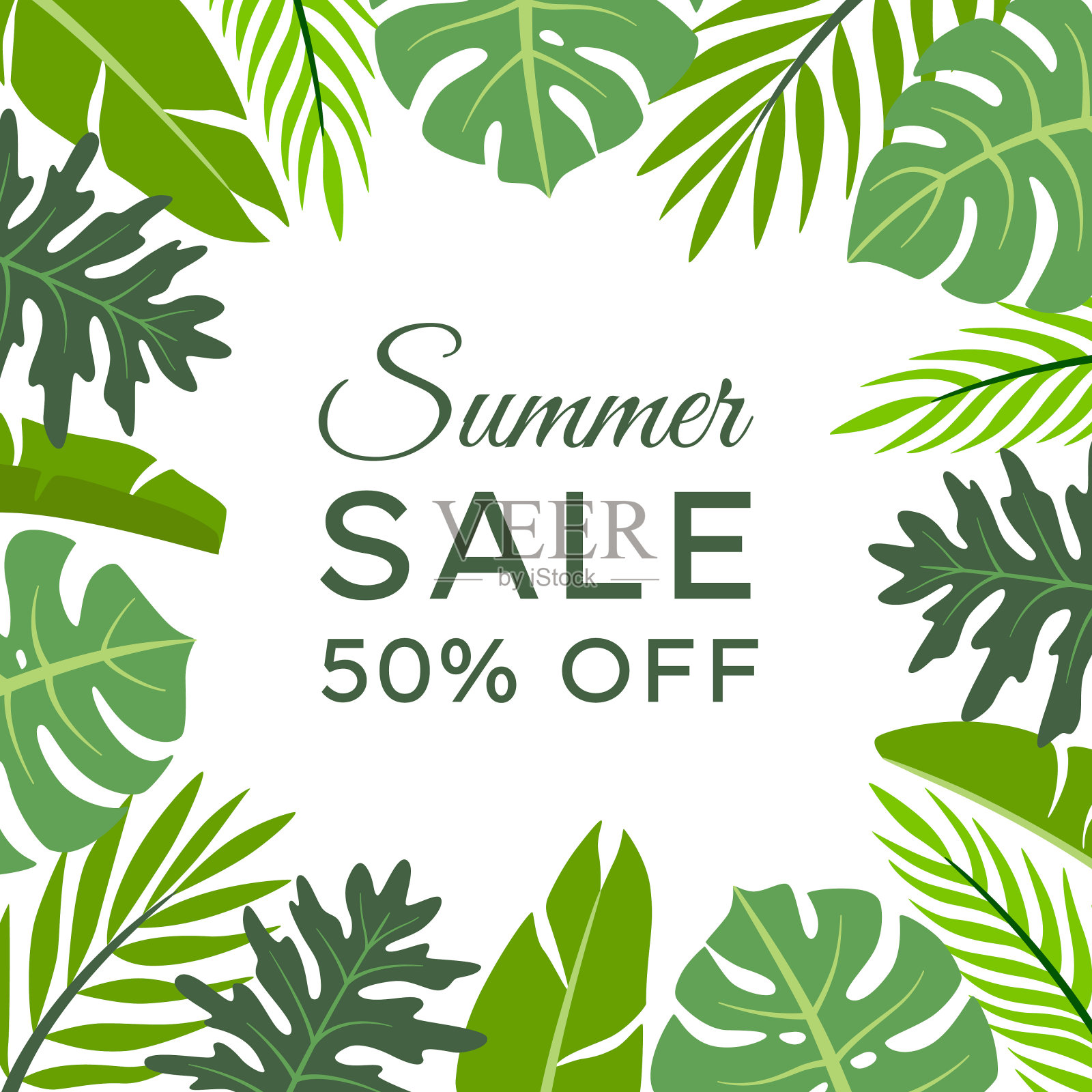 方形框架与夏季热带树叶插画图片素材