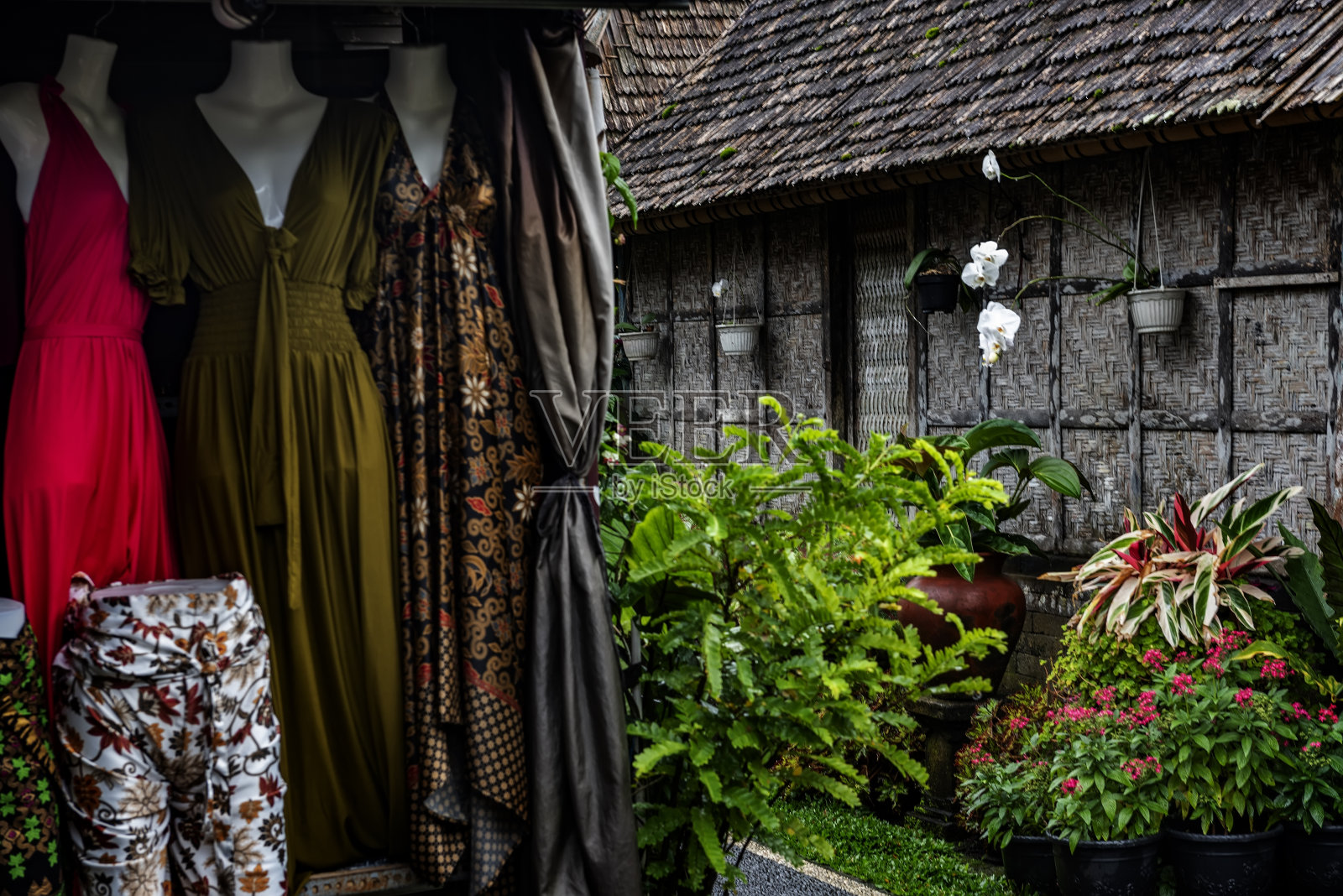 巴厘岛的安慰村照片摄影图片