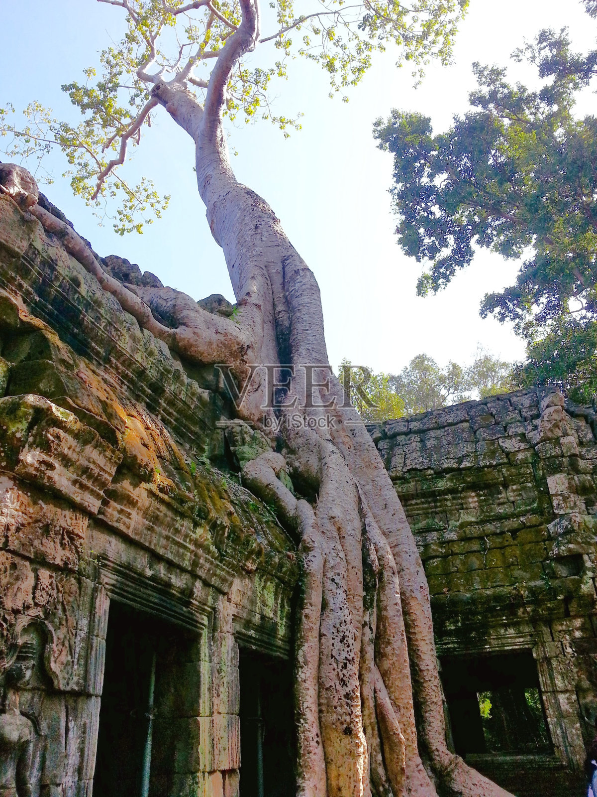 一个关于时间流逝的深刻故事照片摄影图片