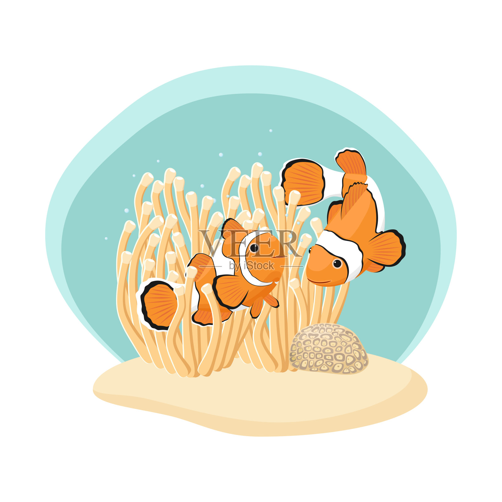 海葵和小丑鱼。海洋生物。矢量插图。插画图片素材