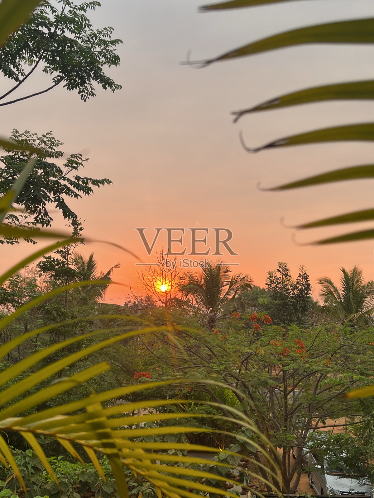 日出照片摄影图片