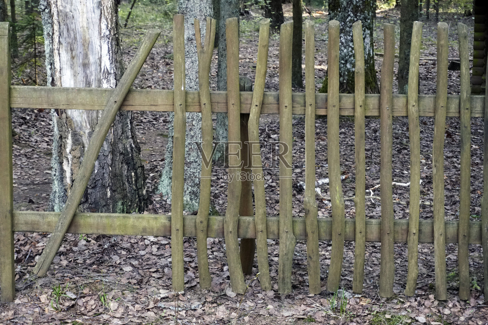 森林里的篱笆。背景。栅栏。世界的边界照片摄影图片