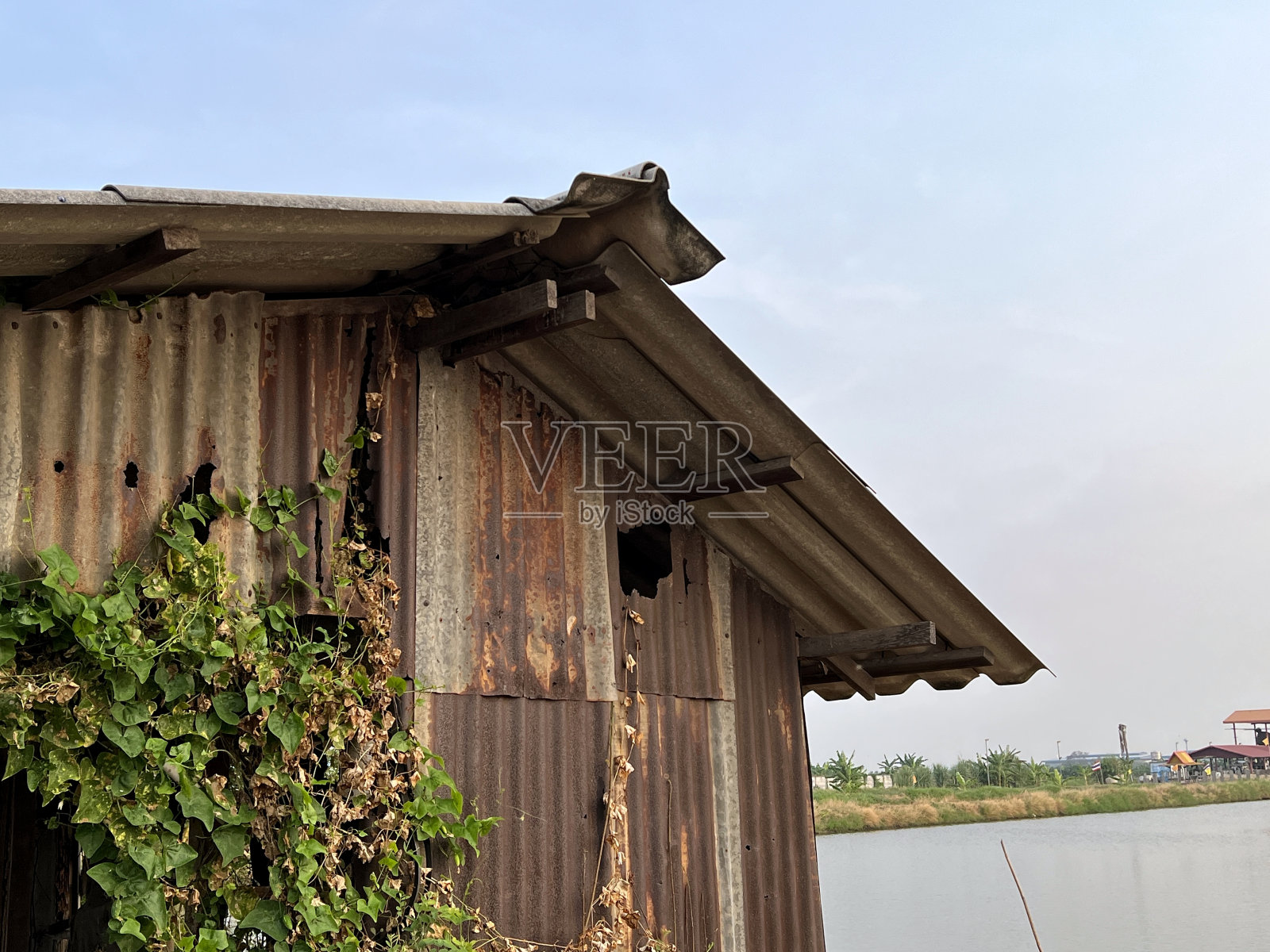 村子里的老木屋照片摄影图片