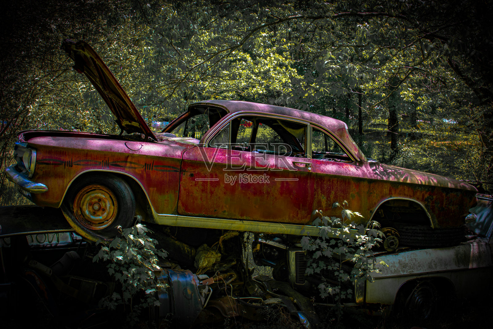 废弃的经典照片摄影图片