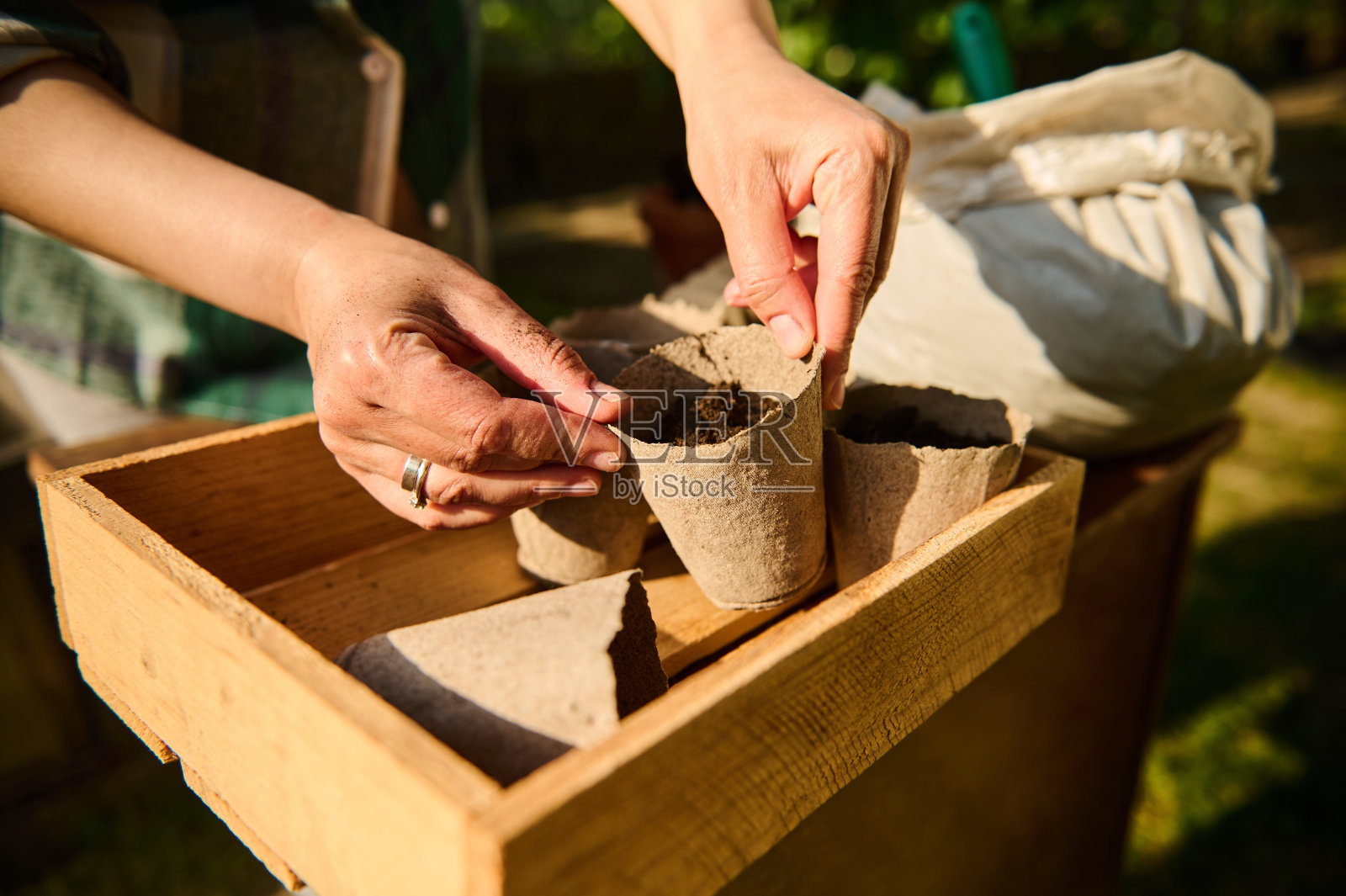 特写:农民的手拿着一次性泥炭罐，木条箱上有肥沃的土壤。有机农业食品生产照片摄影图片
