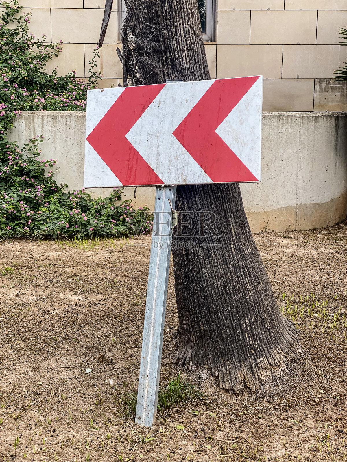 方向标志靠在树上照片摄影图片